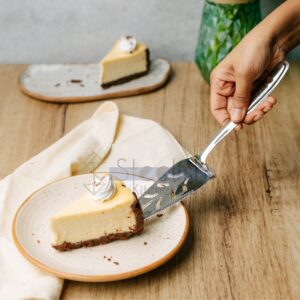 Plastic Handle Serving Tools